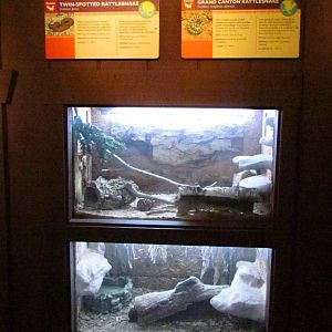 Arizona Trail - Reptile Exhibits