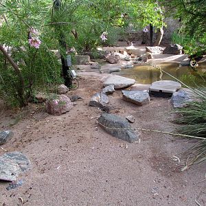 Arizona Trail - Aviary