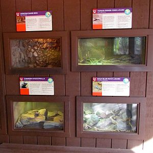 Arizona Trail - Deserts of the World