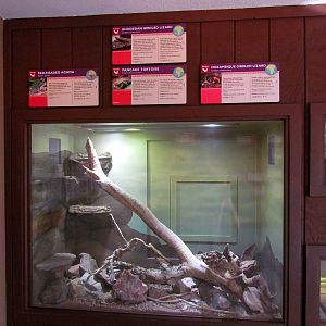 Arizona Trail - Deserts of the World