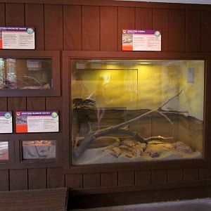 Arizona Trail - Deserts of the World