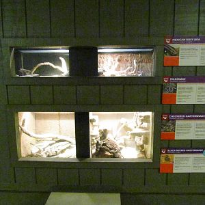 Arizona Trail - Diversity in the Desert