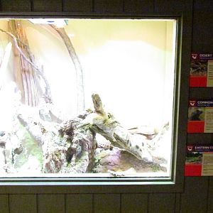 Arizona Trail - Diversity in the Desert