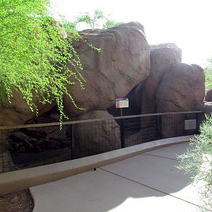 Arizona Trail
