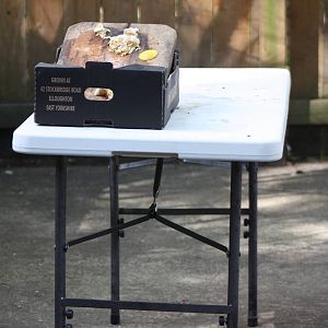 The kebab making event has concluded, 24th August 2014