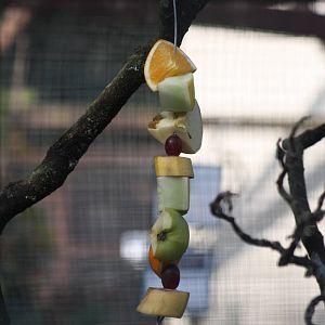 Results of the kebab making event, 24th August 2014