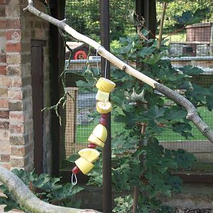 Results of the kebab making event, 24th August 2014