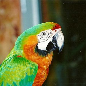 Hopefully Hyak2 will view this photograph  - taken on 12th September 2008