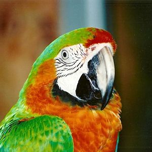 A closer view of Jo, 12th September 2008