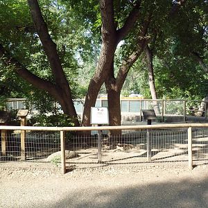 Canada Goose Exhibit
