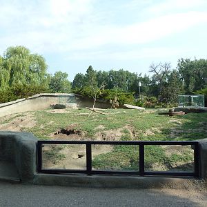 Black-Tailed Prairie Dog Exhibit