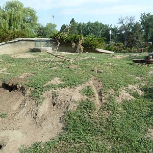 Black-Tailed Prairie Dog Exhibit