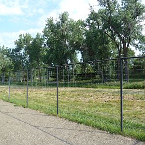 Mouflon Sheep Exhibit