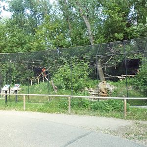 Blue-and Yellow Macaw/Scarlet Macaw Exhibit