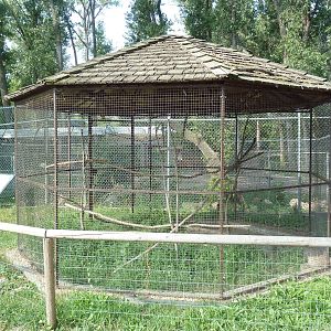 Great Horned Owl Exhibit