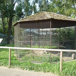 Great Horned Owl Exhibit