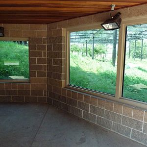Snow Leopard Exhibit