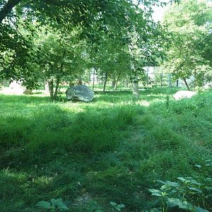 1-Acre Bengal Tiger Exhibit