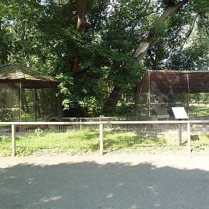 American Badger Exhibit (adjoining cages)