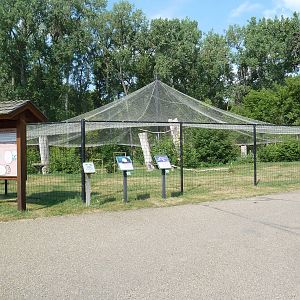 Bald Eagle/Golden Eagle Aviary