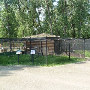 Assorted Aviaries