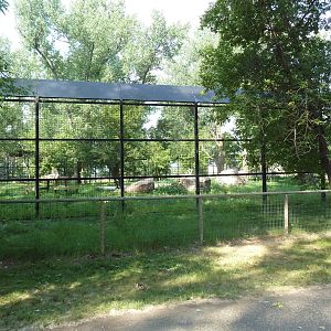 1-Acre Bengal Tiger Exhibit