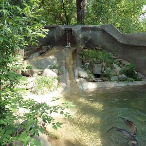 North American River Otter Exhibit