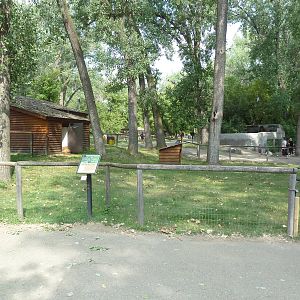 Tammar Wallaby Exhibit