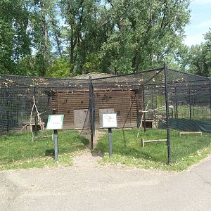 Assorted Aviaries