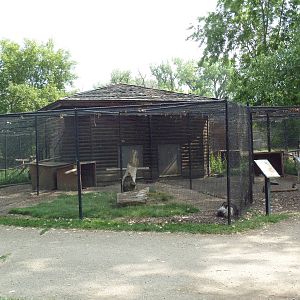 Assorted Aviaries