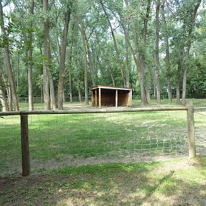 Texas Longhorn Cattle Exhibit