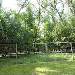Multi-Acre White-Tailed Deer/Mule Deer Exhibit