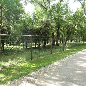 Multi-Acre White-Tailed Deer/Mule Deer Exhibit