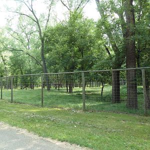Multi-Acre White-Tailed Deer/Mule Deer Exhibit