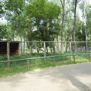 Moose Exhibit