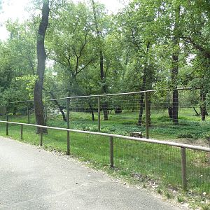 Rocky Mountain Goat Exhibit