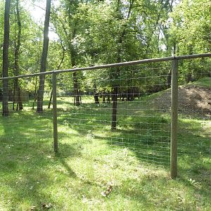 Bighorn Sheep Exhibit