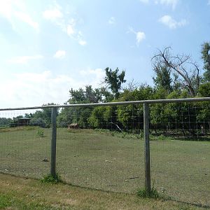 Rocky Mountain Elk Exhibit