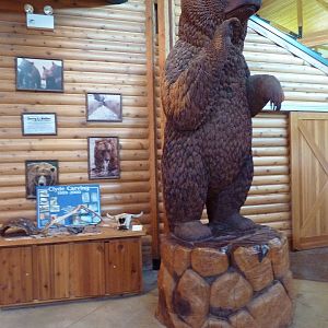 Discovery Center - Bear Statue
