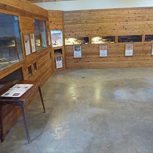 Discovery Center - Assorted Terrariums