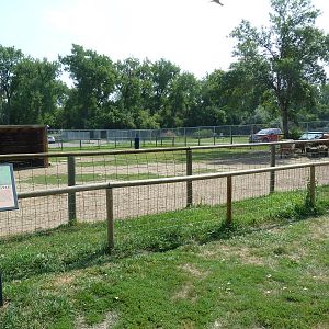 Highland Cattle Exhibit