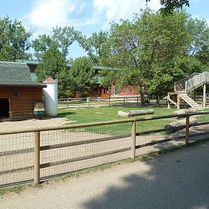 Farmyard - Goat Yard