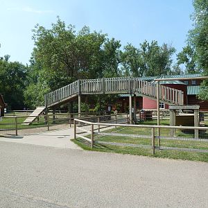 Farmyard - Goat Yard