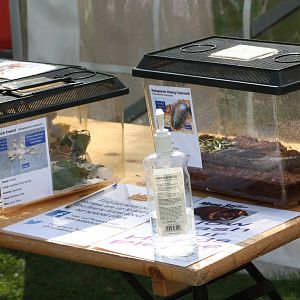 Animal handling event, 24th August 2014