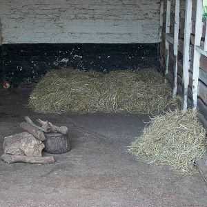 A fine pig bed made by KeeperKatie, 25th August 2014
