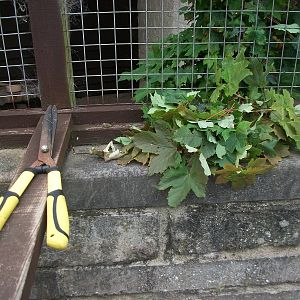 It was ten minutes before clocking off so there was time for an extra job,