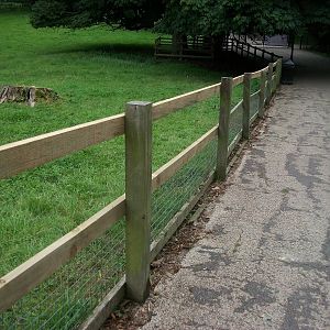 New railings on the fencing around the Llama and Pony paddock, 25th August