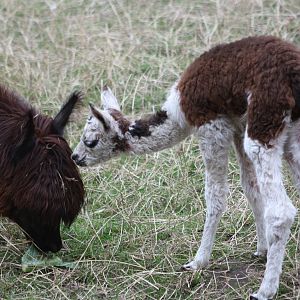 Mother and daughter, 25th August 2014