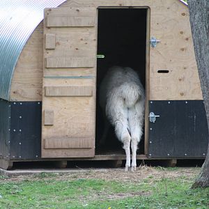 Is Brenda in there already? 25th August 2014