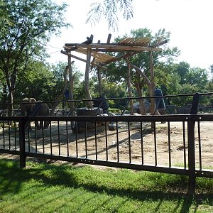 African Elephant Exhibit